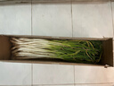 农家自种精品山东大葱特级新鲜铁杆长白葱农家毛葱香葱现挖便宜 山东大葱（带老皮）带箱 3斤 实拍图