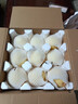 正宗河北鸭梨大果新鲜10斤脆甜梨子水果当季整箱包邮5斤赵县雪梨 特级鸭梨净重5斤 实拍图