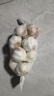 大蒜头出口品质网兜紫蒜蔬菜调料新鲜大果烧烤火锅食材 【精品网兜装】1斤装 450g 实拍图