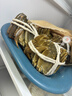 【活蟹】阳澄联合鲜活大闸蟹现货公3.5-3.8两 母2.5-2.8两 4对8只螃蟹海鲜礼盒 实拍图