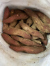 京鲜生临安天目山小香薯5斤 单果50-150g 香甜软糯皮薄无筋 源头直发 实拍图