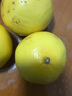超值黄皮葡萄柚红心蜜柚柚子爆汁新鲜水果酸甜可口久雅 黄皮葡萄柚带箱2斤（2-4枚装） 实拍图