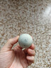 正宗松花蛋50g-59g皮蛋20枚装无铅工艺鸭蛋变蛋散养生鲜超市批发 10枚 实拍图