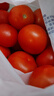 新鲜沙瓤大番茄生吃西红柿减肥早餐即食新鲜蔬菜生鲜单果＞100g 囤货装 5斤 净重 实拍图