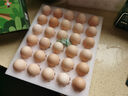 京鲜生 无抗保洁鲜鸡蛋30枚/盒 健康轻食 礼盒送礼 1.5kg/盒 源头直发 实拍图