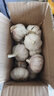 紫白皮蒜水果大蒜超市即食生鲜蔬菜大蒜 特价带箱 1斤 单果3.5-5cm 实拍图