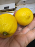 京鲜生 安岳黄柠檬16粒 单果95g-120g 生鲜水果 实拍图