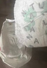 好奇（Huggies）小森林纸尿裤L40片(9-14kg)尿不湿心钻【透氧顶配更低敏】 实拍图