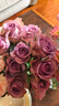 云南鲜花批发品质玫瑰百合水养鲜切花送女友生日礼物源头直发 紫玫瑰-10支（花苞小不定品种） 【任选2件—不收运費】 实拍图