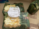babycare金山茶花拉拉裤XXL30片(>15kg)婴儿尿不湿超薄透气新生柔花苞裤 实拍图