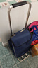 购物车袋双层家用买菜车手拉杆车布袋子小拉车推车布袋大号牛津包创意 加厚新款藏青(购物袋+底板) 实拍图