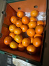 京鲜生 金秋砂糖橘/砂糖桔 5斤 生鲜水果礼盒  实拍图