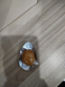 良品铺子什锦鹌鹑蛋450g卤蛋小包装64颗铁蛋即食盐焗卤味素食网红休闲零食 实拍图
