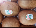 佳沛（zespri）绿奇异果 优选大果12粒单果约113-135g  水果 猕猴桃 实拍图