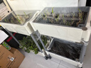 绿园匠两层组合种菜盆种植种菜箱大花盆花槽花箱 可移动万向轮 实拍图