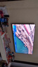 TCL电视 65Q9L Pro 65英寸 QD-Mini LED 蝶翼星曜屏 万象分区 绚彩XDR 超薄 国家补贴 实拍图