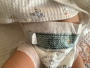 babycare皇室狮子王国弱酸纸尿裤中号M50片(6-11kg)婴儿尿不湿亲肤透气 实拍图