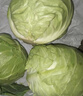 包菜新鲜卷心菜大头菜农户自种当季绿叶蔬菜绿甘蓝 绿甘蓝 5斤 实拍图