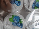 卡士鲜酪乳蓝莓100g*6杯+黄桃100g*6+草莓100g*6 实拍图
