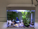 森森（SUNSUN）超白鱼缸一体缸自循环客厅桌面小型家用水族箱HEJ-380 实拍图