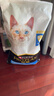 冠能猫粮室内成猫猫粮7kg 全价猫粮 添加膳食纤维 控制毛球 实拍图