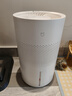 米家小米空气加湿器 无雾加湿器3 400mL/h快速加湿家用卧室大容量办公室婴儿孕妇 4L大容量CJSJSQ05ZMZ 实拍图