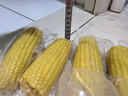 当季新货头茬东北黄甜糯玉米棒真空包装低脂黄糯大棒甜东北黏苞米 黄糯玉米【120-160克】6根 实拍图