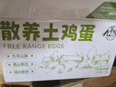 九華粮品散养土鸡蛋40枚 净重3斤 农家柴鸡蛋 笨鸡蛋 月子蛋 实拍图