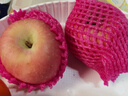 京鲜生 山东栖霞红富士苹果精品12粒 单果190g-240g  水果礼盒 实拍图