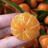 京觅 广西金秋砂糖橘净重4斤 单果40-50mm 精品果沙糖桔 源头直发包邮 实拍图