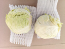 高原夏菜新鲜包菜卷心菜绿甘南菜甘蓝圆白菜时令蔬菜健康营养早餐 3斤带箱农家好菜 实拍图