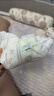 好奇（Huggies）小森林拉拉裤L40片(9-14kg)尿不湿心钻【透氧顶配更低敏】 实拍图