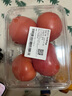 番茄约500g 实拍图