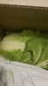 山东寿光大白菜黄心大娃娃菜农户现摘新鲜蔬菜原产地整箱批发 寿光白菜4斤 实拍图