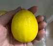京鲜生 安岳黄柠檬16粒 单果95g-120g 生鲜水果 实拍图