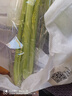 【24小时菜】大芹菜约400g 实拍图