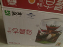 蒙牛早餐奶红枣味牛奶 250ml*16盒 送礼盒装新老包装交替 实拍图