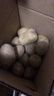内蒙红皮大土豆新鲜黄心土豆现挖洋芋地蛋马铃薯粉面火锅批发 红皮土豆大果 2斤 【单果150g+】 实拍图