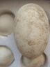 百世富泽（BAISHIFUZE）【百世富泽】黄河滩大鹅蛋新鲜正宗土鹅蛋农家自养孕妇超大鹅蛋 12枚115-130克 实拍图