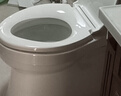 科勒（KOHLER） 坐便器大小户型普通虹吸式家用连体坐便马桶抽水防臭大冲力厕所 希玛龙(经典款)-305坑距 实拍图