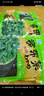Yihai 亿海香辣裙带菜梗段220g*1袋 大连产低脂海藻沙拉海白菜 实拍图
