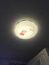 洛林(ROLin）led吸顶灯改造灯板卧室灯客厅灯替换灯盘灯芯36w三色调光 实拍图