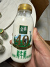 伊利金典鲜牛奶4.0g鲜活乳蛋白235ml*4瓶定制装巴氏杀菌低温鲜牛奶 实拍图