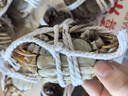 【活蟹】阳澄帝 大闸蟹鲜活  现货特大螃蟹公蟹母蟹精品礼盒装 精品六月黄3.0-3.3两 10只装 实拍图