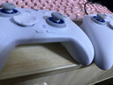 飞智冰原狼4多模版无线游戏手柄 类xbox 力调节摇杆双切扳机 switch电脑PC手机steam体感NS 丝之歌 实拍图