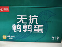 京觅新鲜无抗鹌鹑蛋 生鲜蛋 健康好蛋 63枚/盒 源头直发 实拍图