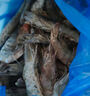 PHUKEY SEA大号厄瓜多尔冻南美白对虾 只只分离 海鲜水产 3斤 (31-40只/KG) 实拍图