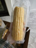 十月稻田 黄糯玉米 3.52斤(220g*8根) 25年新玉米 低脂粗粮 早餐 联名款 实拍图