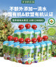 爷爷的农场进口有机果泥宝宝果泥西梅泥混合礼盒85g*10袋口味随机零食蓝莓 实拍图