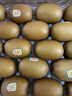 佳沛（zespri）新西兰  阳光金奇异果18粒礼盒优选果单果约101-124g 猕猴桃水果 实拍图